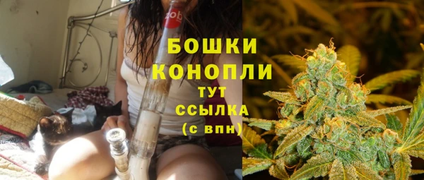 MESCALINE Коряжма