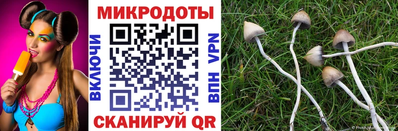 Галлюциногенные грибы прущие грибы Новосиль